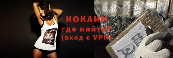 прущие грибы Карпинск