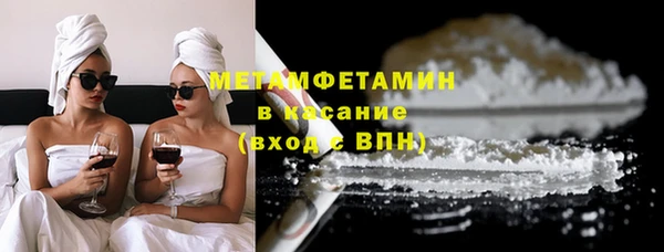 прущие грибы Карпинск