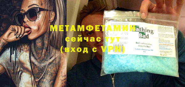 прущие грибы Карпинск