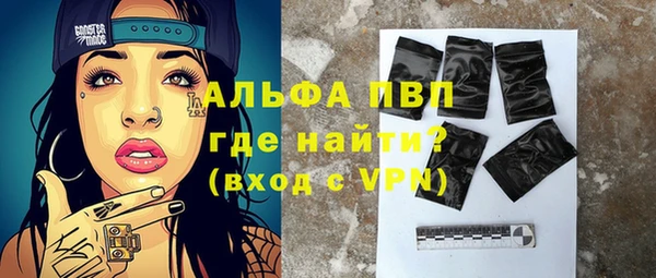 прущие грибы Карпинск