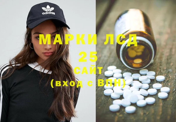 прущие грибы Карпинск