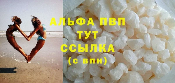 прущие грибы Карпинск