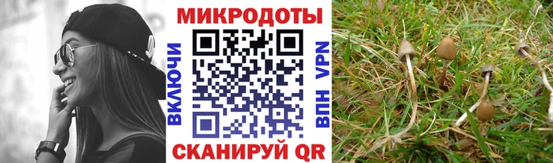 Галлюциногенные грибы Cubensis  Купить закладки  Зеленоградск 